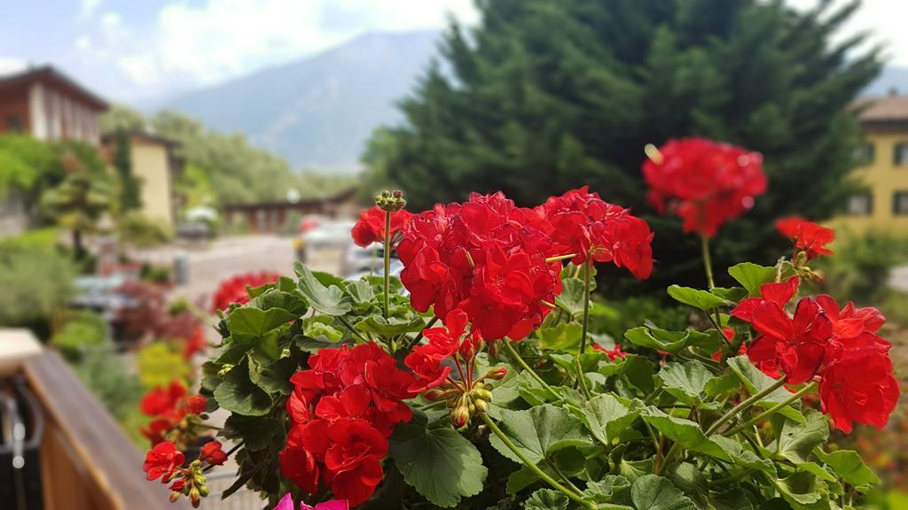 Appartamento Angi - Lago & Vacanza Attiva Riva del Garda Kültér fotó